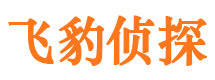 大同寻人公司